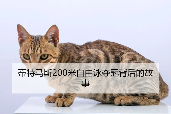 di-te-ma-si-mi-zi-you-yong-duo-guan-bei-hou-de-gu-shi-2-431.jpg