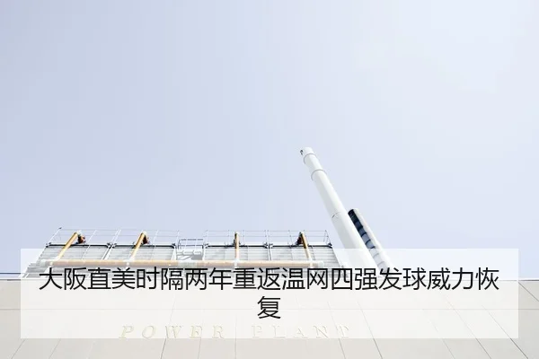 da-ban-zhi-mei-shi-ge-liang-nian-chong-fan-wen-wang-si-qiang-fa-qiu-wei-li-hui-fu-3-121.jpg