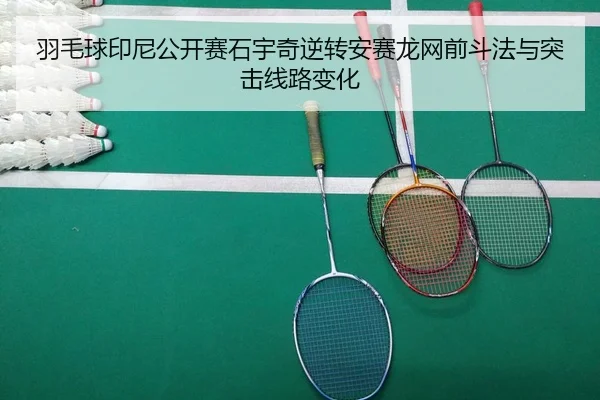 yu-mao-qiu-yin-ni-gong-kai-sai-shi-yu-qi-ni-zhuan-an-sai-long-wang-qian-dou-fa-yu-tu-ji-xian-lu-bian-hua-2-467.jpg